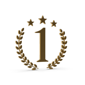 Jasa SEO Profesional, Jasa naikan peringkat google