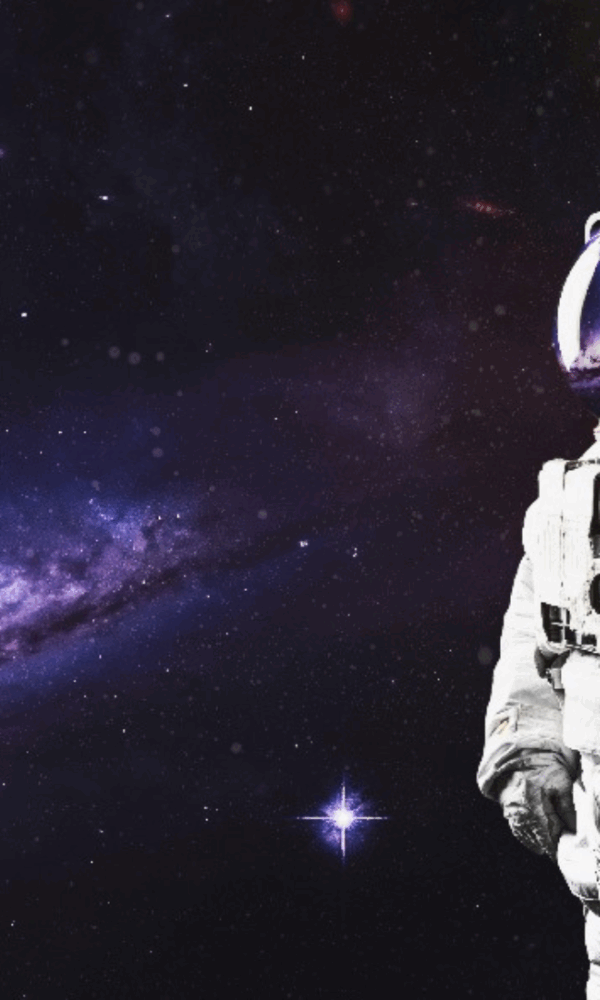 Dashboard aplikasi bisnis lokal Maxsamasta