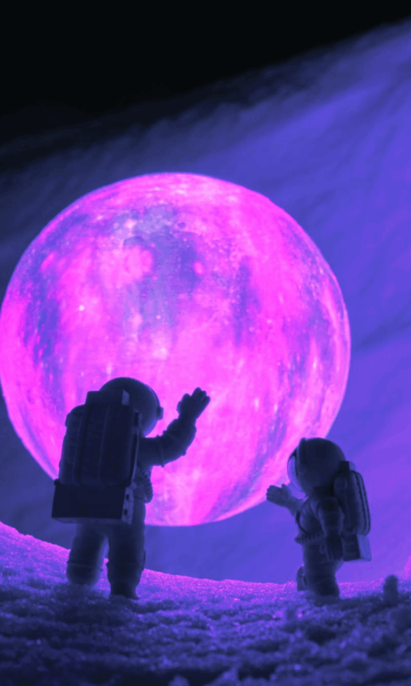 Layanan IT bisnis profesional