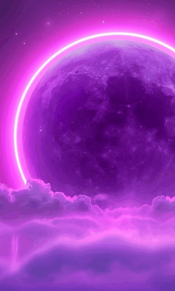 Strategi SEO Lokal Bogor oleh Maxsamasta