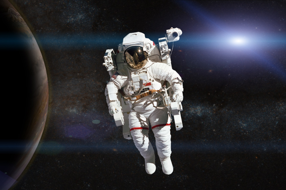 Branding agency max samasta