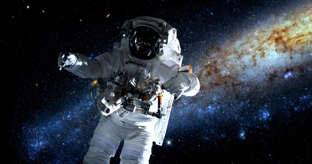 Jasa website max samasta